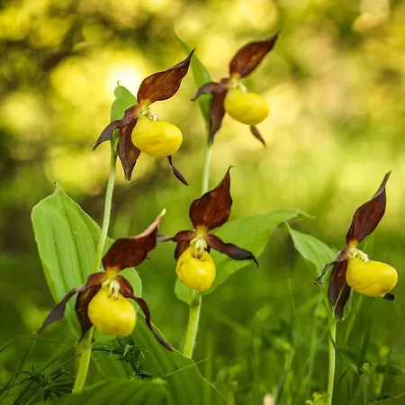 Casa Ríos Casa de hóspedes Biescas (Aragon)
