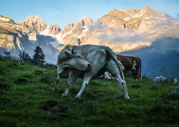 Casa Ríos Casa de hóspedes